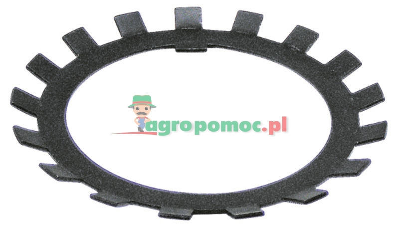 Retaining plate | zdjęcie nr 1